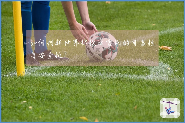 如何判断世界杯投注官网的可靠性与安全性？