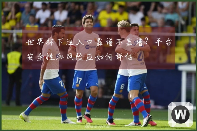 世界杯下注入口靠谱不靠谱？平台安全性和风险应如何评估