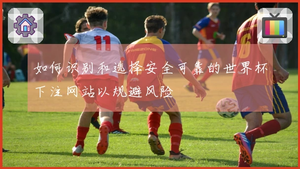 如何识别和选择安全可靠的世界杯下注网站以规避风险