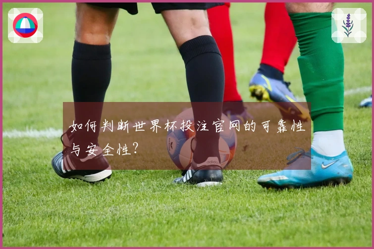 如何判断世界杯投注官网的可靠性与安全性？