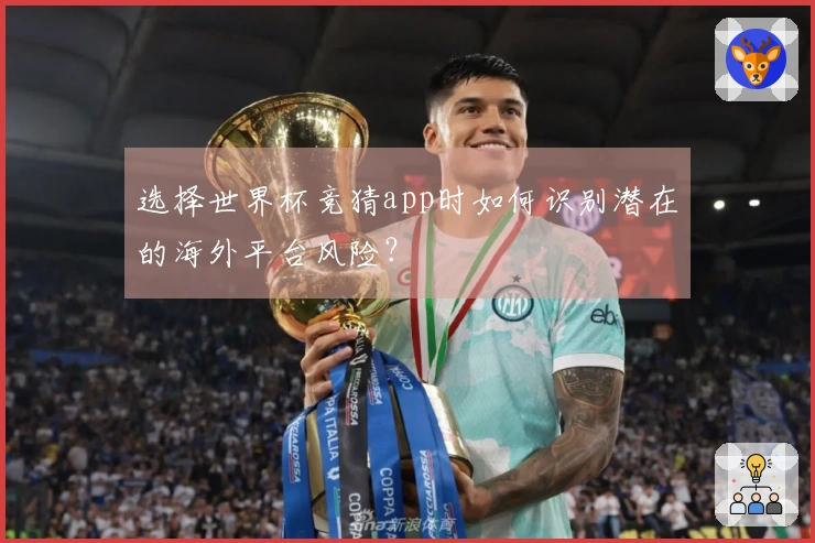 选择世界杯竞猜app时如何识别潜在的海外平台风险？