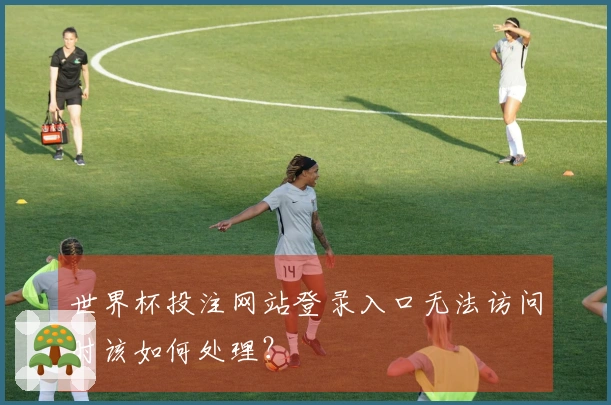 世界杯投注网站登录入口无法访问时该如何处理？