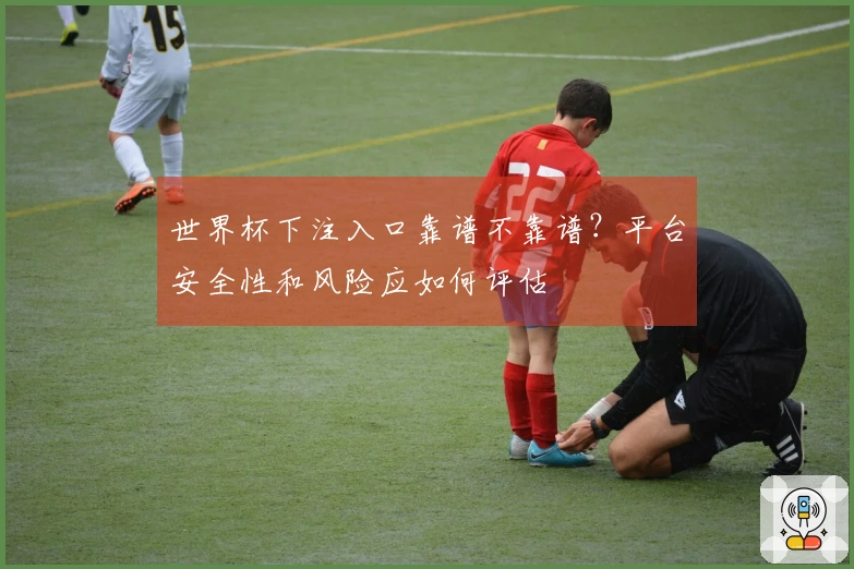 世界杯下注入口靠谱不靠谱？平台安全性和风险应如何评估
